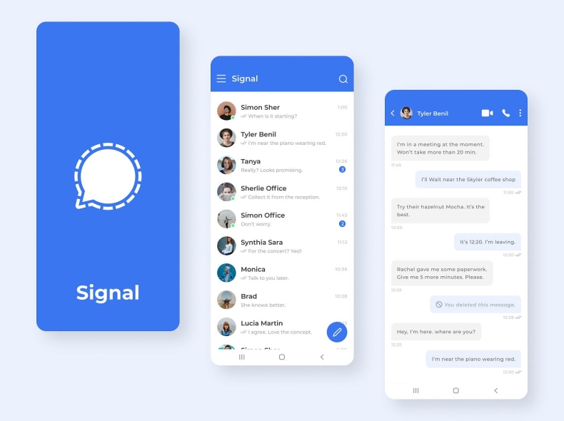 用虚拟机打开Signal中文版官网会触发反欺诈吗