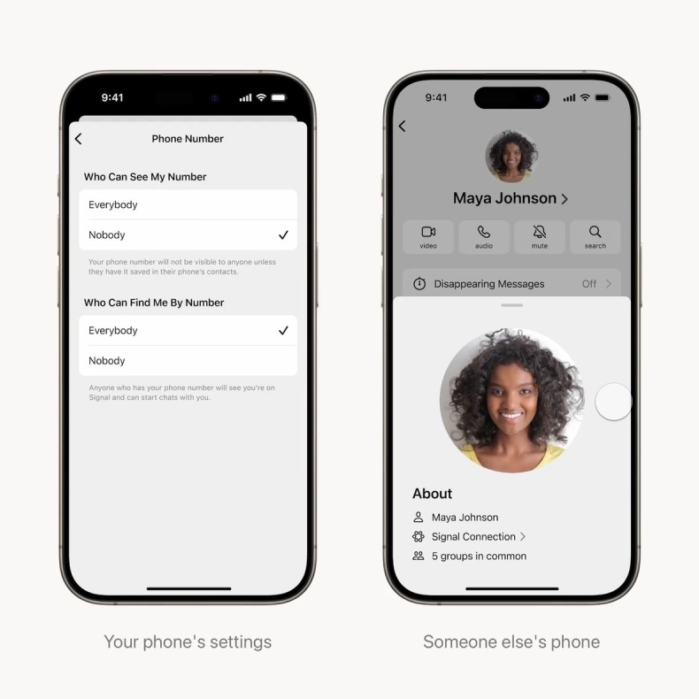 Signal中文版可以把聊天背景换成动态视频吗