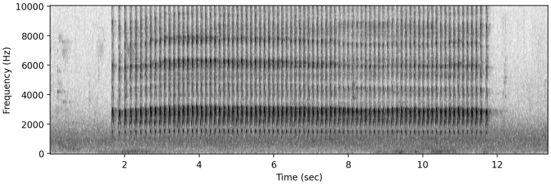 在Signal官网找不到Lite轻量版是官方放弃低配机吗