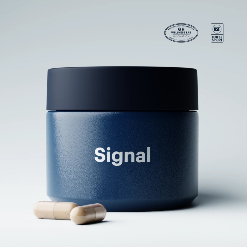 Signal下载前网络环境检测与预处理建议清单