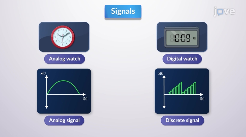 Signal下载电池优化后台运行权限设置建议