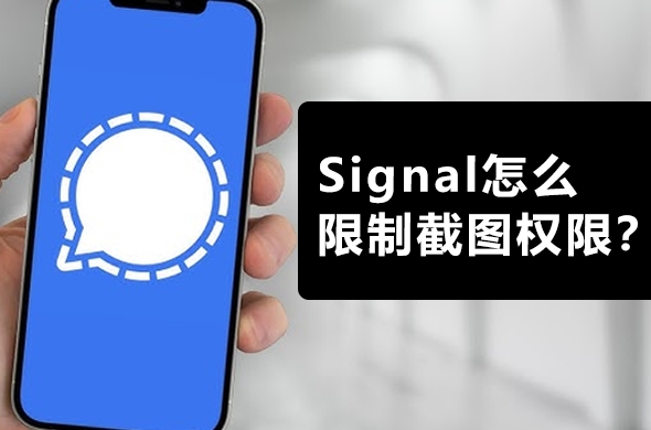 Signal下载通知设置精细化消息提醒管理
