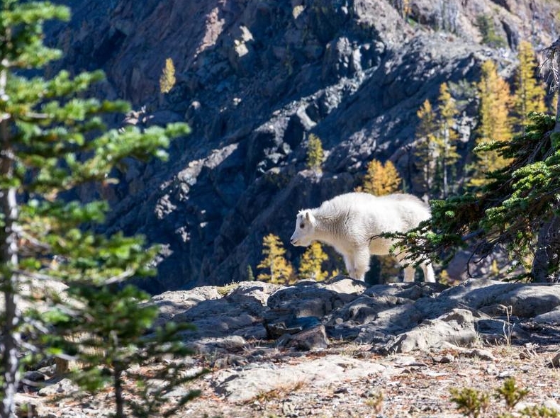 Signal免安装便携版下载：U盘随身携带使用指南