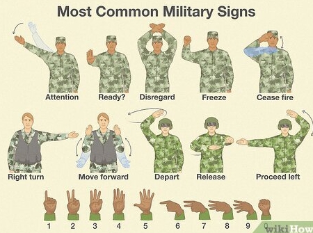 Signal中文版官网能禁止对方截屏我的头像吗